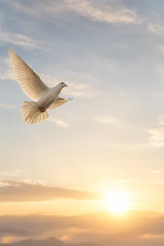 Peace Background 1
