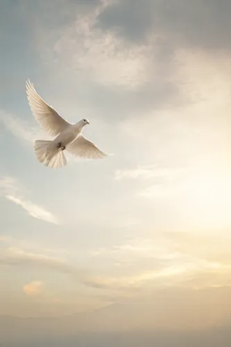 Peace Background 3