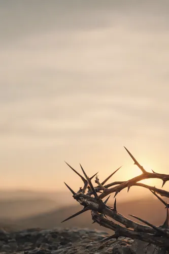 Goodfriday Background 4