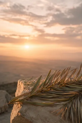 Palmsunday Background 1