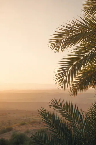 Palmsunday Background 2