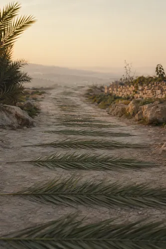 Palmsunday Background 5