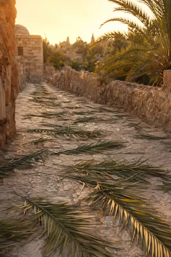 Palmsunday Background 6