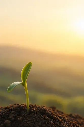 Hope Background 2