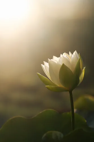 Hope Background 6