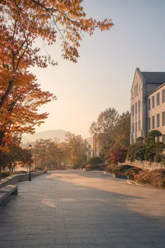 Campus Background 10