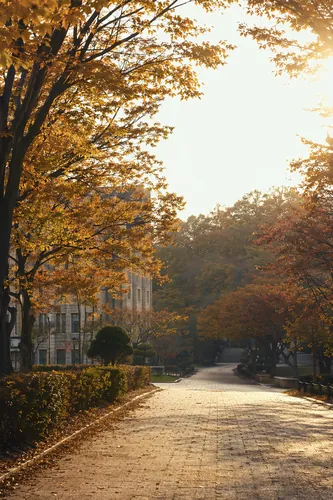Campus Background 11