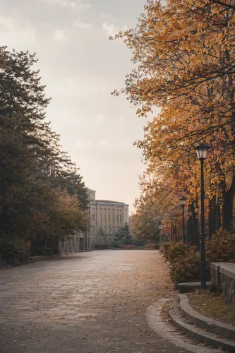 Campus Background 12