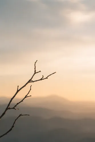 Lent Background 7