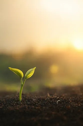 Newbeginning Background 3