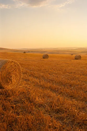 Breadoflife Background 9