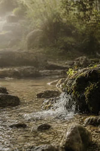 Livingwater Background 3