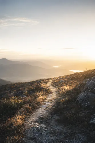 Narrowpath Background 1