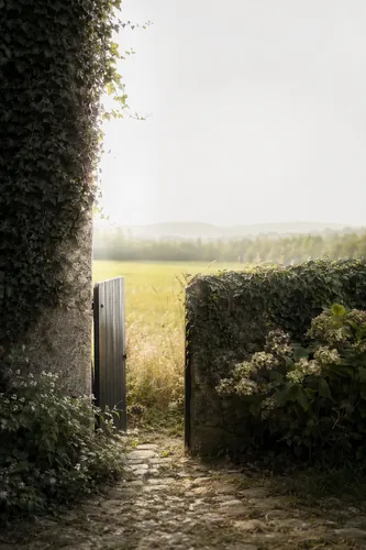 Narrowpath Background 4