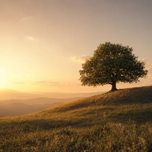 Nature Background 2