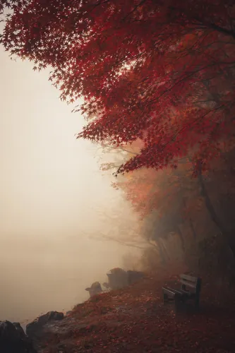 Autumn Background 8