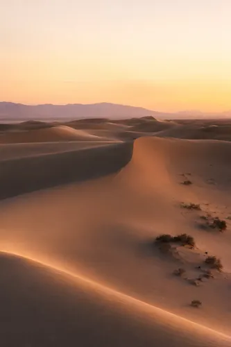 Desert Background 1