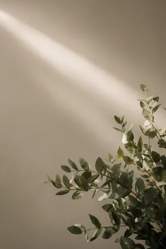 Flora Background 10