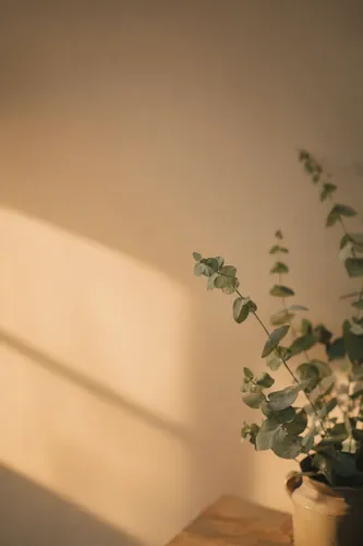 Flora Background 9