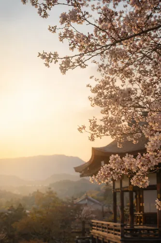 Spring Background 2