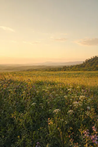 Spring Background 5