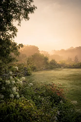 Spring Background 8