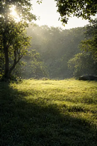 Summer Background 5