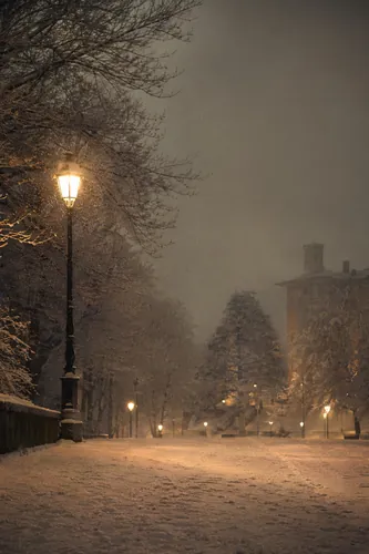 Winter Background 3