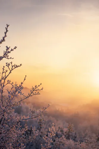 Winter Background 4