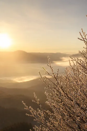 Winter Background 5