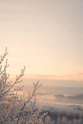 Winter Background 6