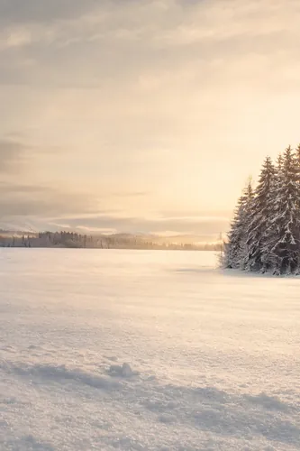 Winter Background 7