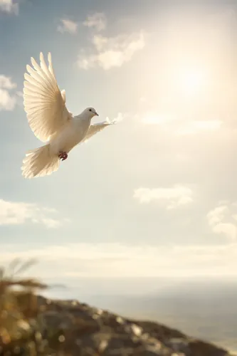 Pentecost Background 6