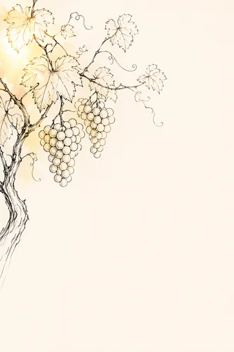Vine Background 2