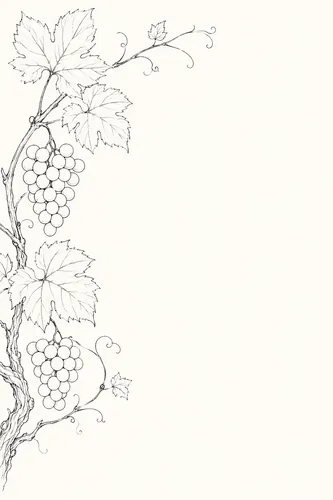 Vine Background 3