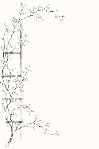 Vine Background 6
