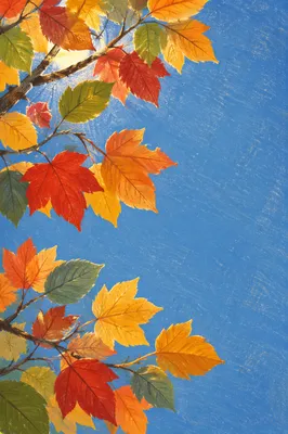 Colorful Autumn Leaves Against Blue Sky