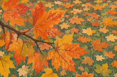 Colorful Autumn Maple Leaves Close-Up