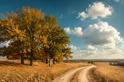 Peaceful Autumn Countryside with Golden Fields