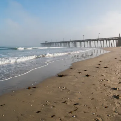Misty Summer Beach With Wooden Pier