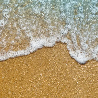 Tropical Wave Washing Over Golden Sand