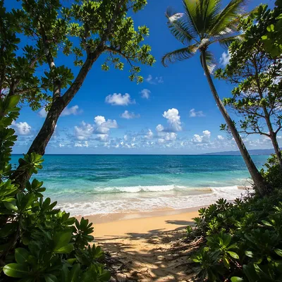 Tropical Shoreline with Waves and Summer Sky