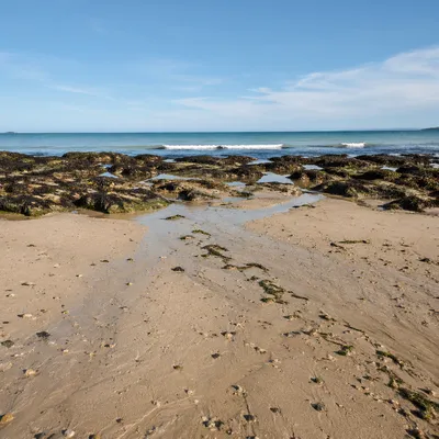 Quiet Tropical Shoreline at Low Tide