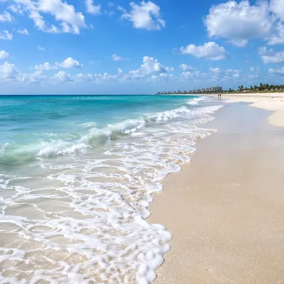 Peaceful Tropical Shoreline with Summer Waves