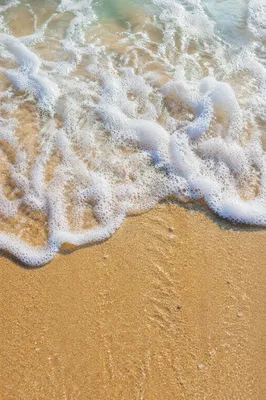Tropical Wave Over Golden Summer Sand