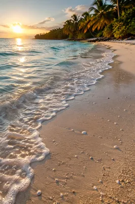 Serene Tropical Shoreline at Sunrise