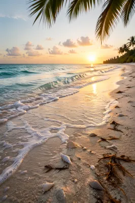 Peaceful Tropical Shoreline at Sunrise