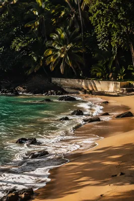Secluded Tropical Cove with Foamy Waves