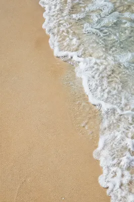 Tropical Shoreline Wave on Golden Sand