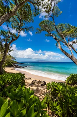 Tropical Beach Waves Under Summer Sky